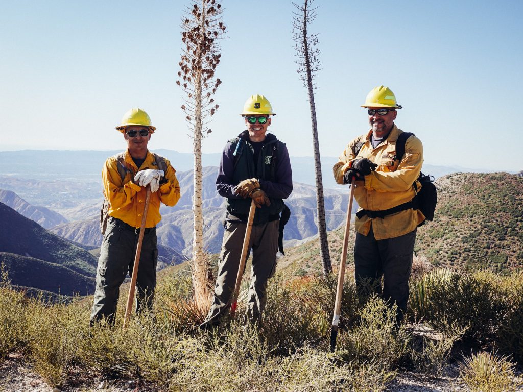 3 volunteers.