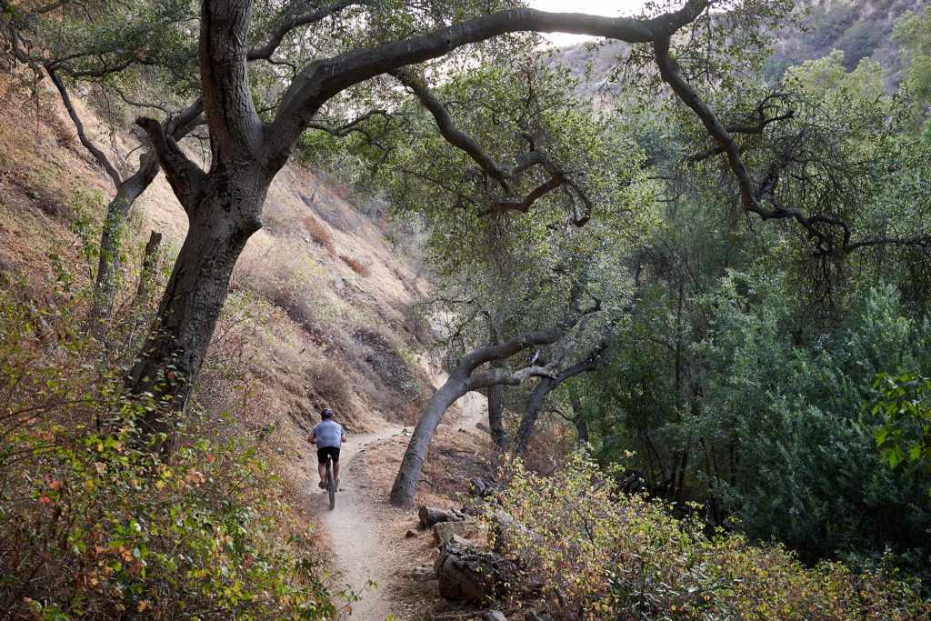 Mountain bike rider in El Prieto Canyon single track