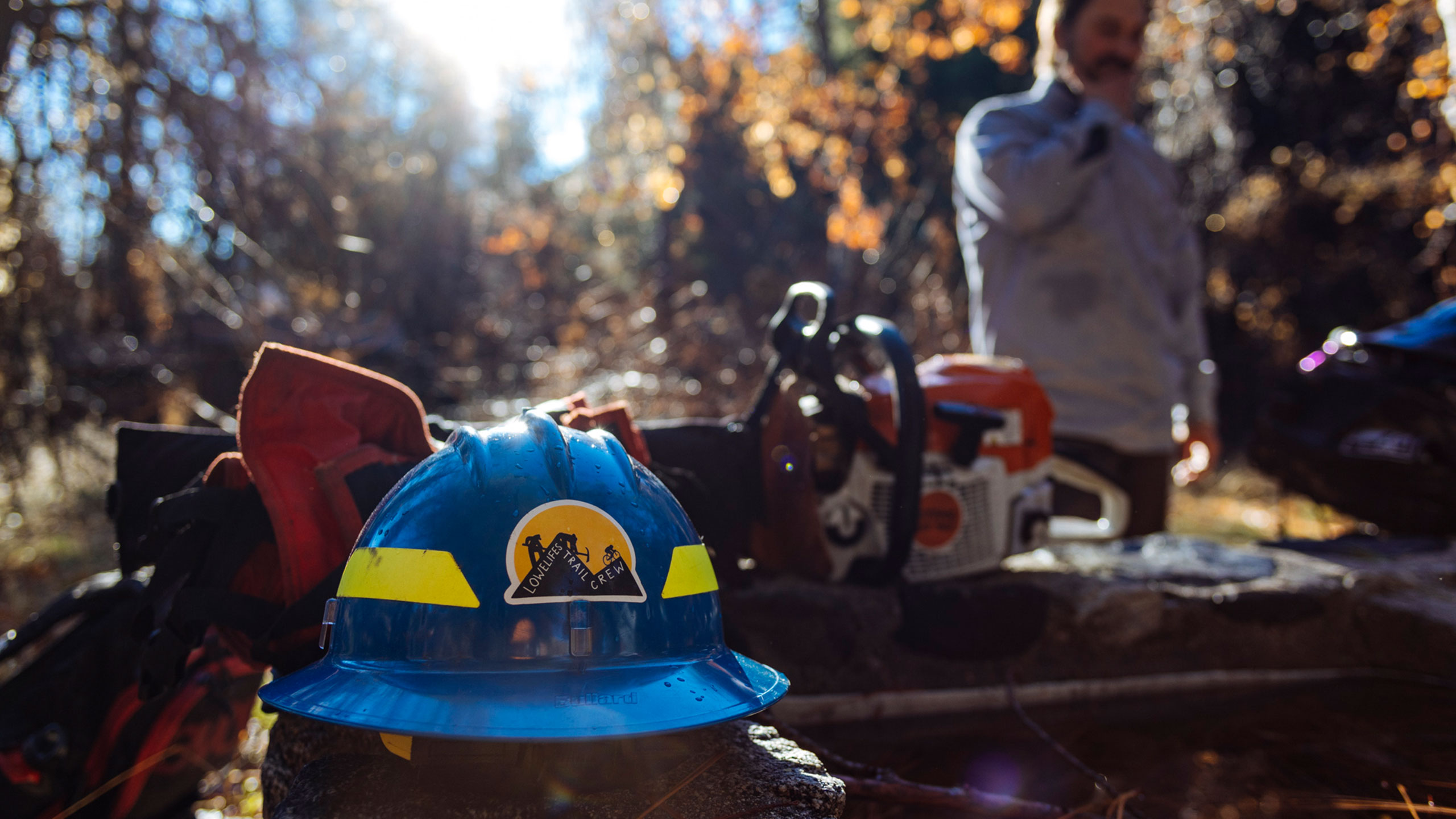 Hardhat and chainsaw.