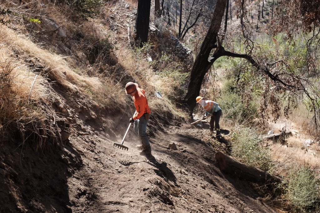 Volunteers work to cut trail into the eroded and fire damaged hillside.