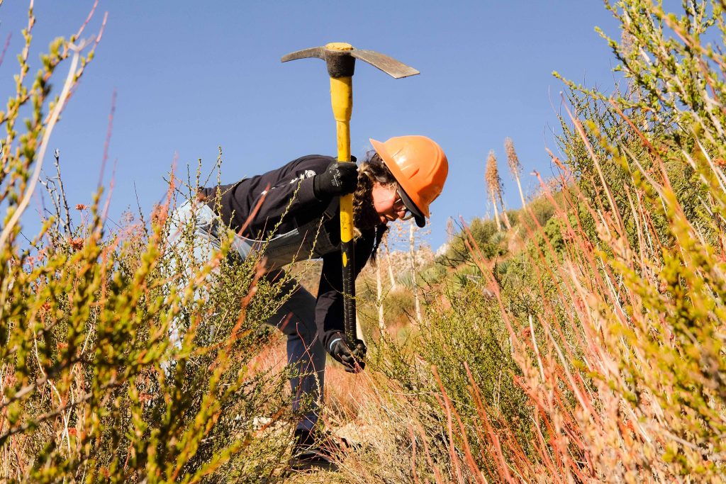 Condor Peak Trail Restoration