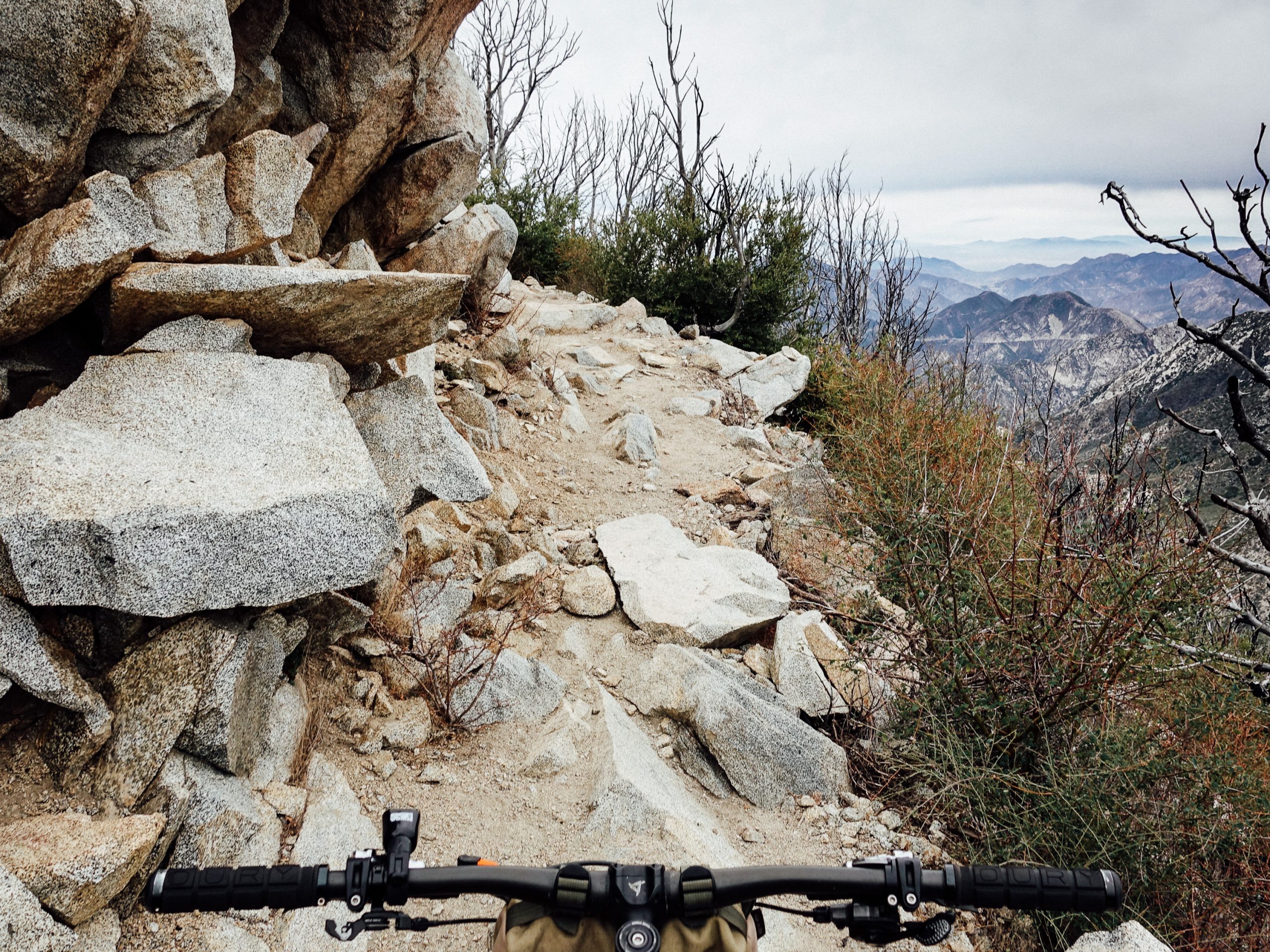 Lowelifes Respectable Roots - Lowelifes Respectable Citizens' Club