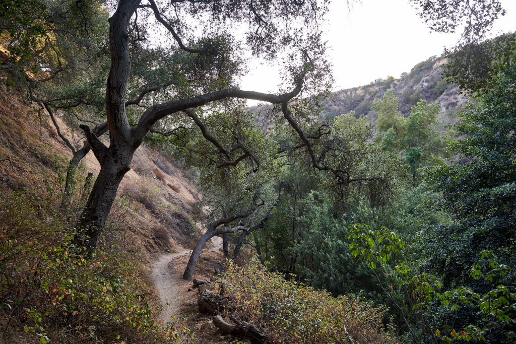 Altadena’s Early Black Entrepreneur