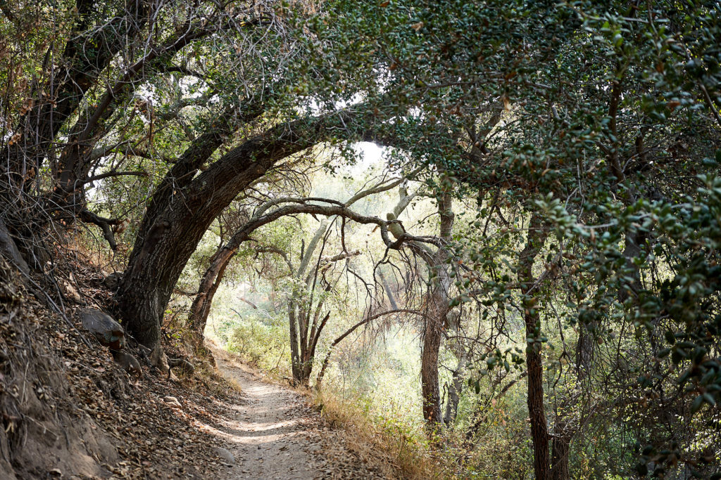 Robert Owens and El Prieto Canyon