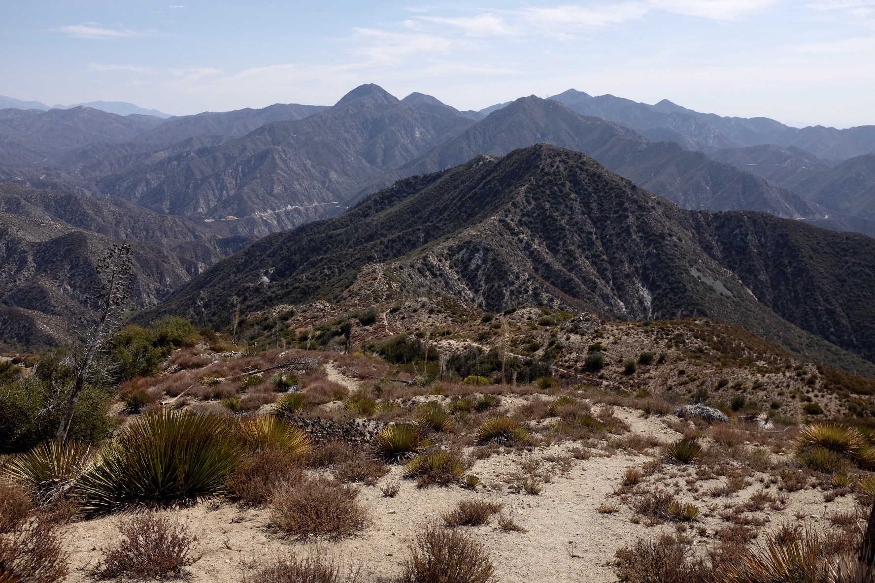 We Reached Condor Saddle! - Lowelifes Respectable Citizens' Club