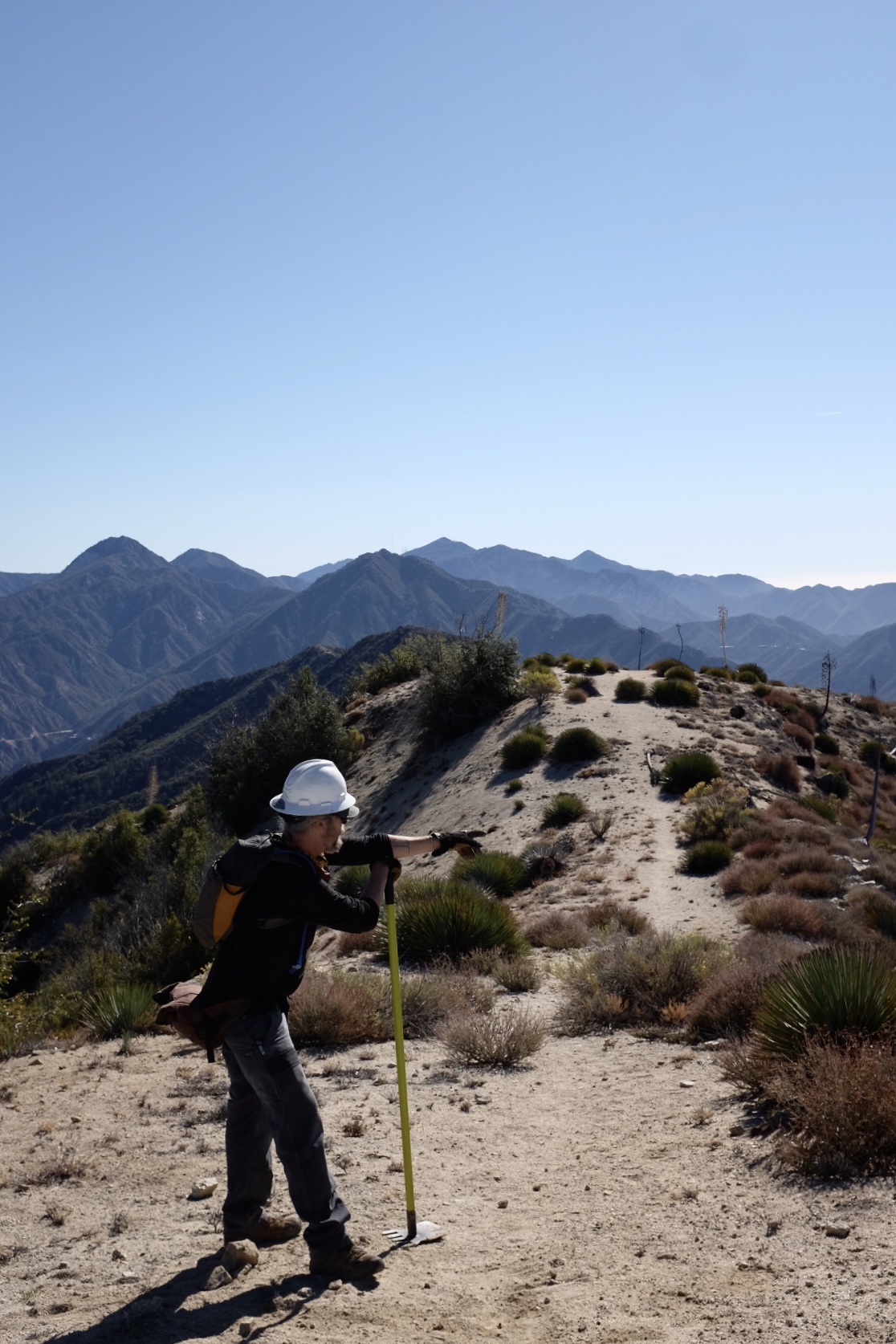 Condor Ridge. Going Deep. - Lowelifes Respectable Citizens' Club